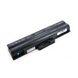 BATTERIE SONY VAIO BPS21