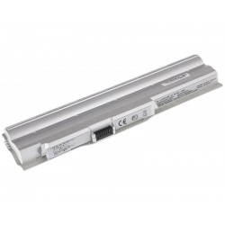 BATTERIE SONY VAIO BPS21