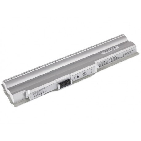 BATTERIE SONY VAIO BPS21